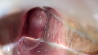 Cum Inside Pussy With Speculum Orgasm